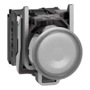شستی چراغدار سفید 220 ولت AC اشنایدر XB4BW31M5